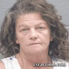 Susan Layton booking photo