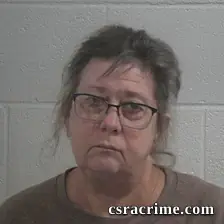 Susan Lynn Rodgers booking photo