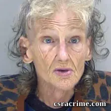 Susan Mattingly booking photo