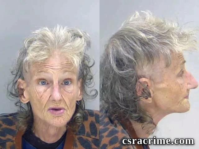 Susan Mattingly booking photo