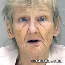 Susan Mattingly booking photo