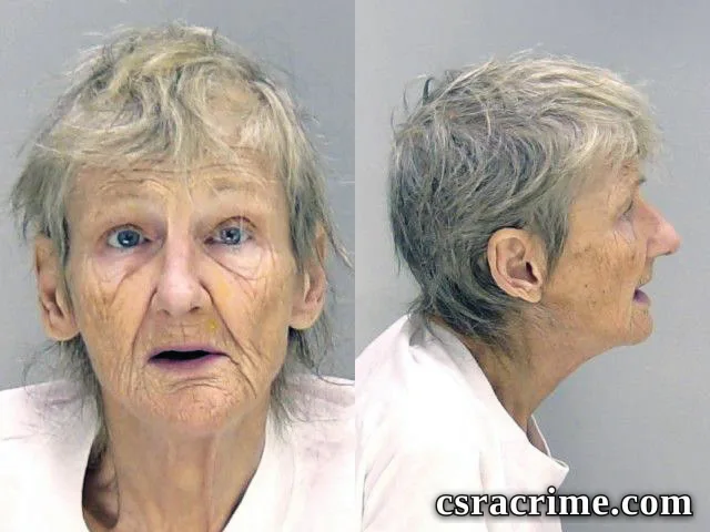 Susan Mattingly booking photo
