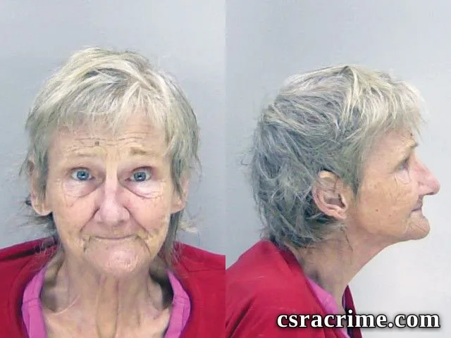 Susan Mattingly booking photo