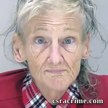 Susan Mattingly booking photo