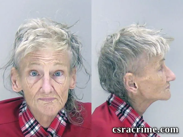 Susan Mattingly booking photo