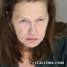 Susan Phillips booking photo