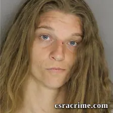 Susan Shedd booking photo