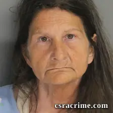 Susan Willing booking photo
