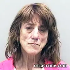 Susanne Mcnutt booking photo