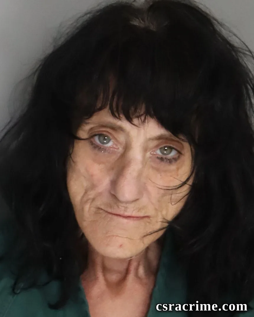 Susanne Mcnutt booking photo