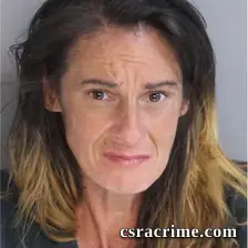 Susanne Williams booking photo