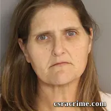 Suzanne Boozer booking photo