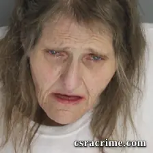 Suzanne Boozer booking photo
