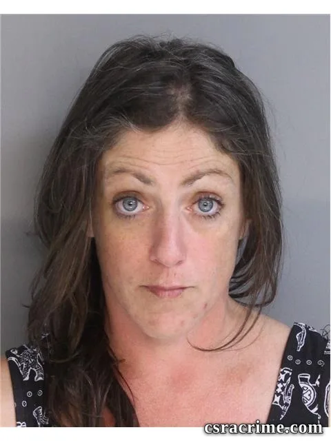 Suzanne Lundergan booking photo