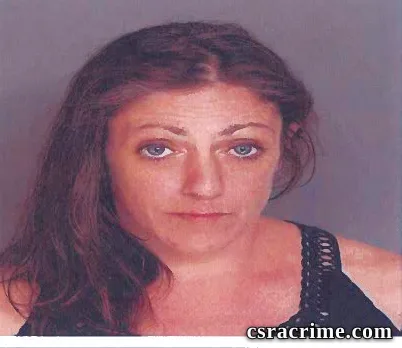 Suzanne Lundergan booking photo