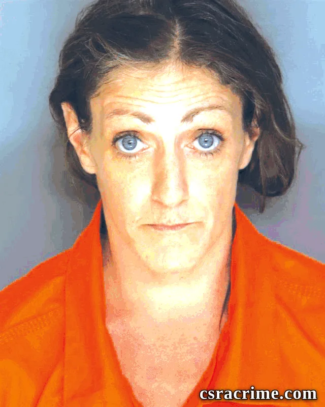 Suzanne Lundergan booking photo