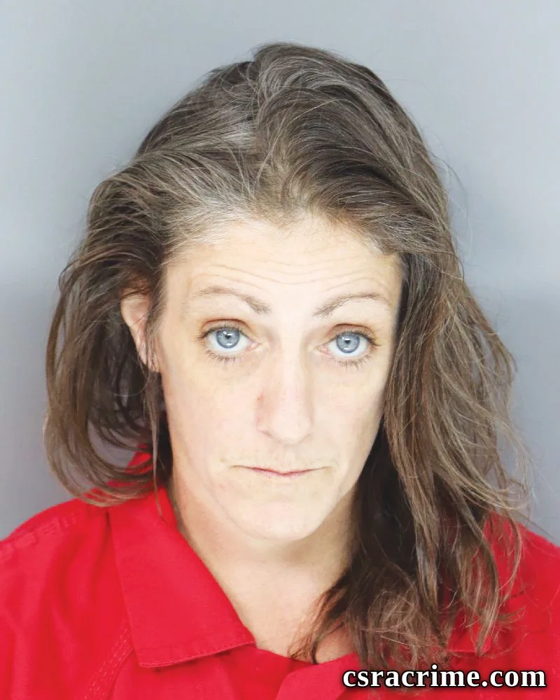 Suzanne Lundergan booking photo