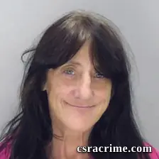 Suzanne Mcnutt booking photo