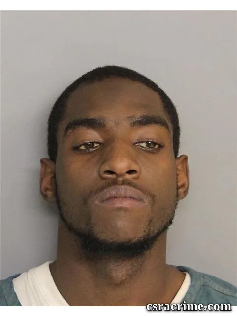 Swiss Council booking photo