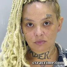 Sydnie Yilmaz booking photo