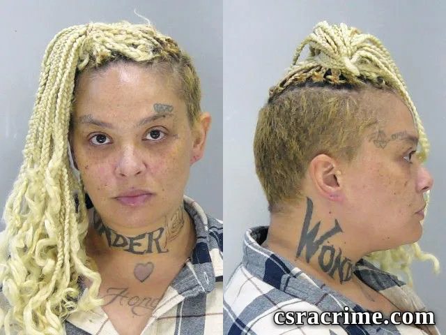Sydnie Yilmaz booking photo
