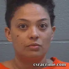 Sydnie Yilmaz booking photo