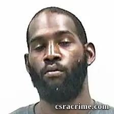 Sylvester Hagins JR booking photo