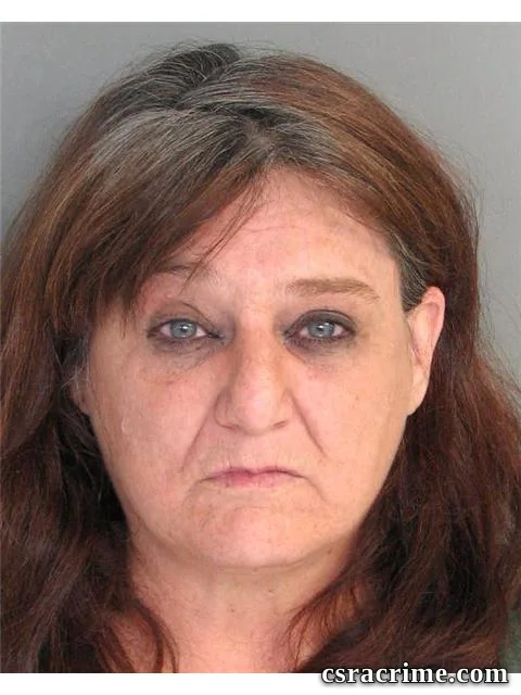 Sylvia Mitchell booking photo