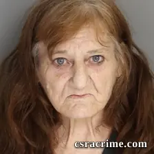 Sylvia Mitchell booking photo