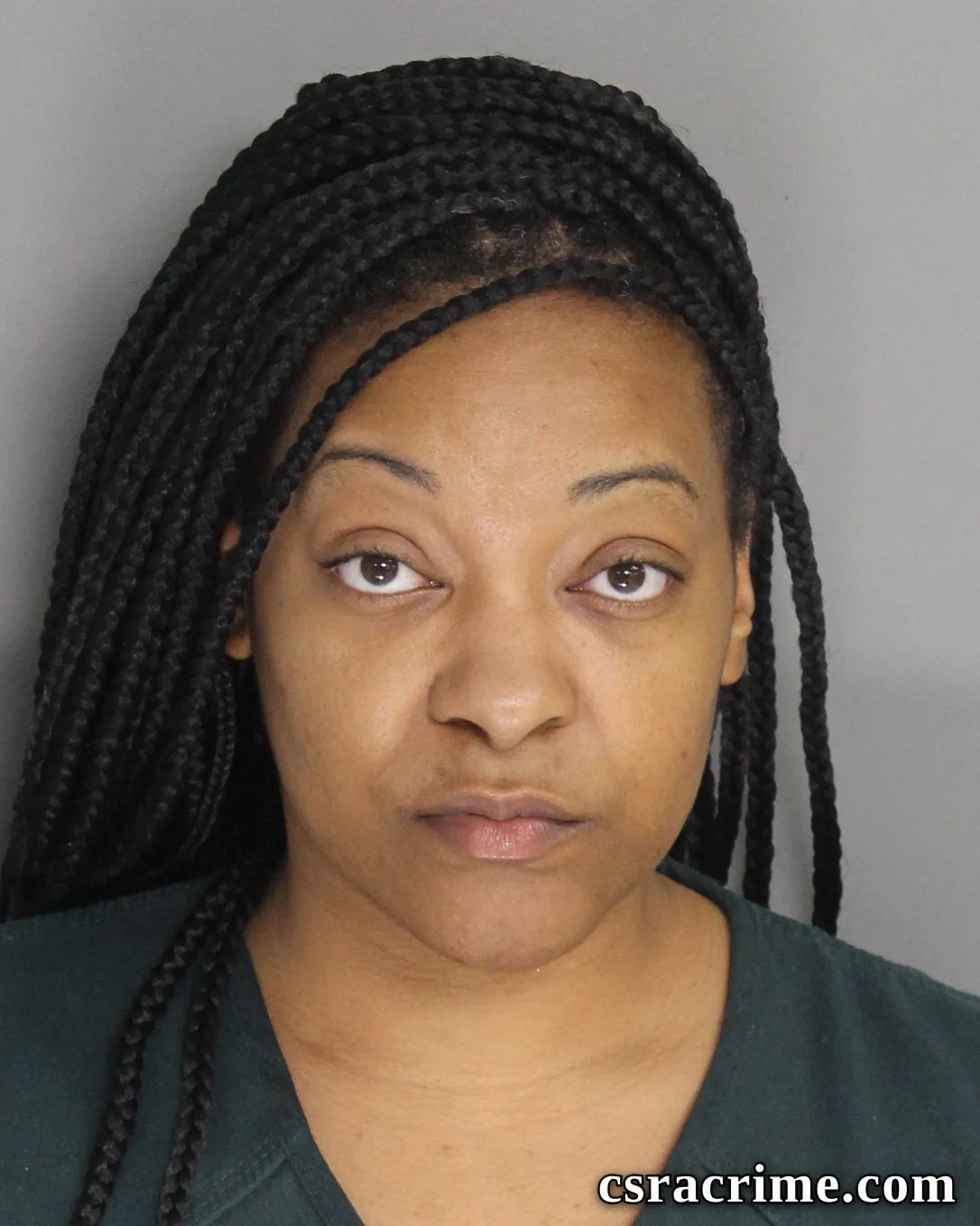 Tamara Hill booking photo