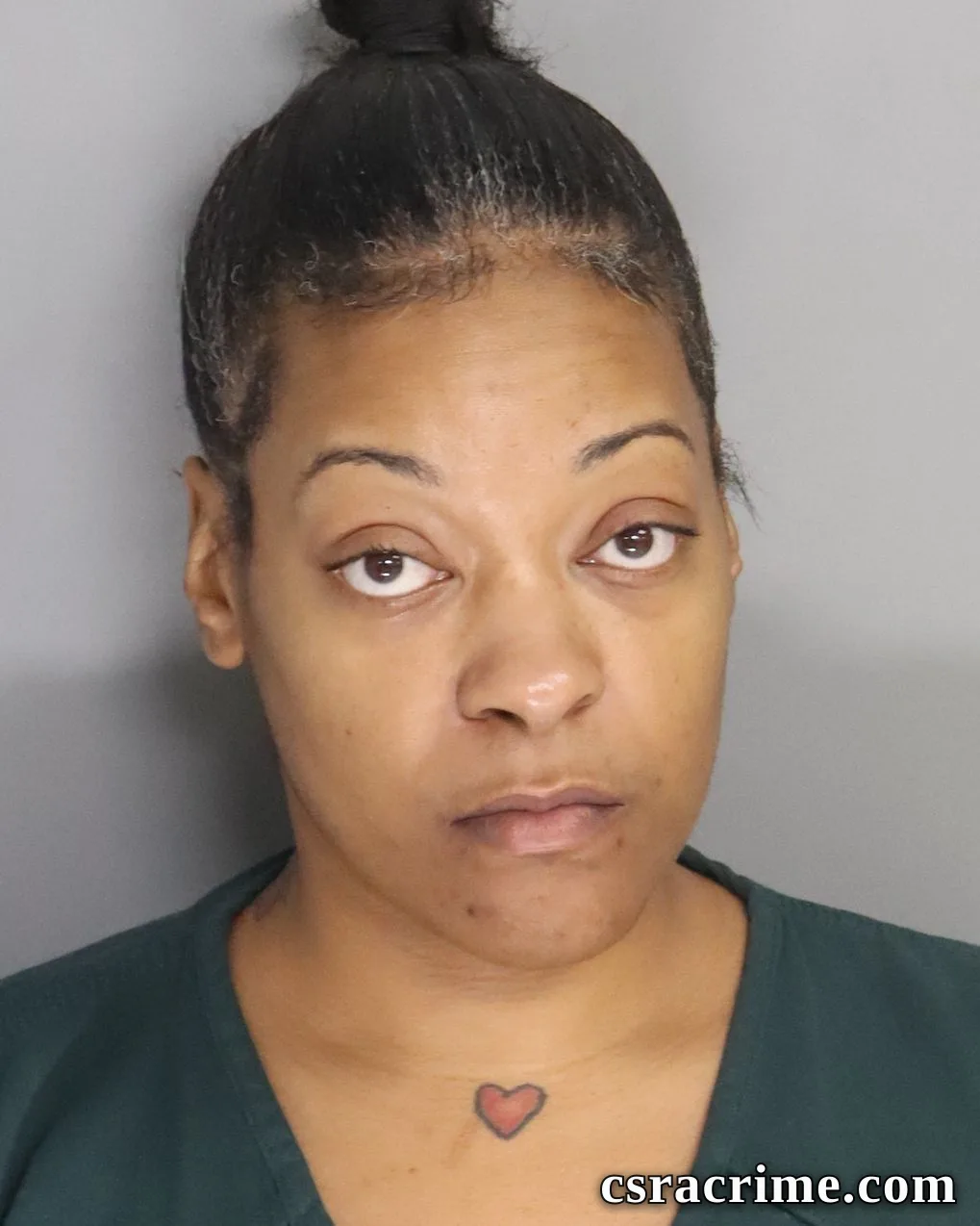 Tamara Hill booking photo