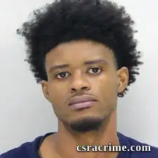 Tamari Mcbride booking photo