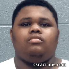 Tamaurie Williams booking photo