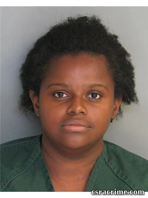 Tameka Ryans booking photo