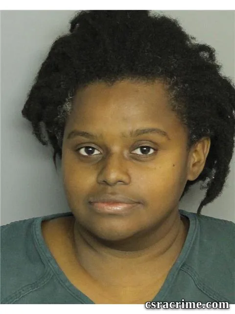 Tameka Ryans booking photo