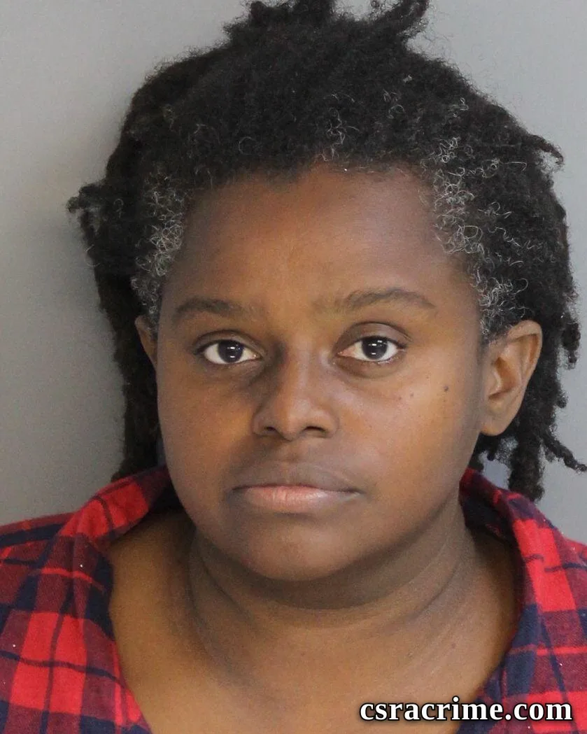 Tameka Ryans booking photo
