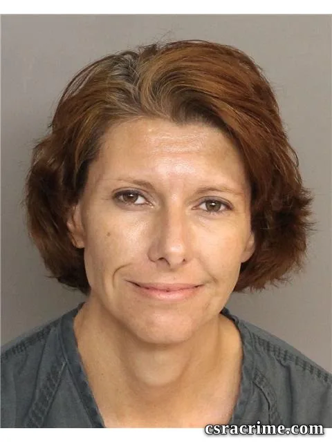 Tami Johnson booking photo