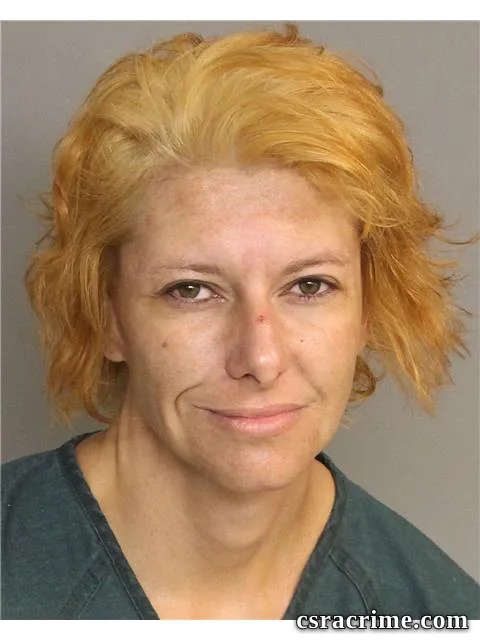 Tami Johnson booking photo