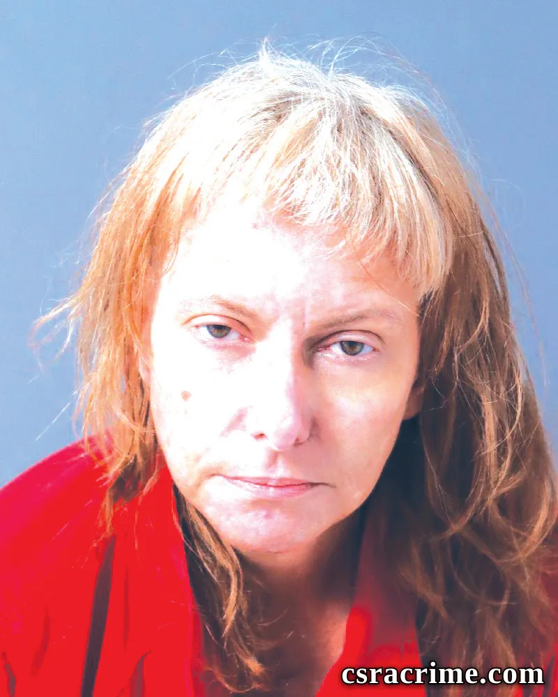 Tami Johnson booking photo
