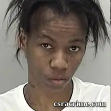 Tammie Ellison booking photo