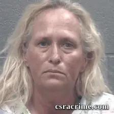 Tammy Hayden booking photo