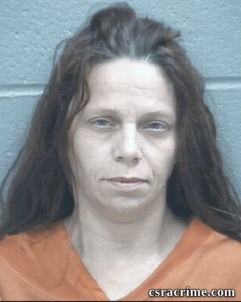 Tammy Lafler booking photo