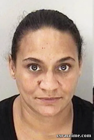 Tammy Lawson booking photo
