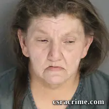 Tammy Merlene booking photo