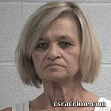 Tammy Phillips Newsome booking photo