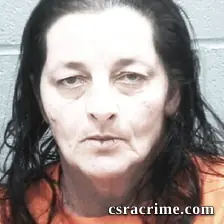 Tammy Poteat booking photo