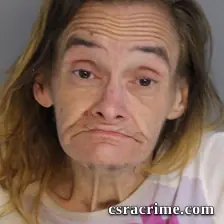 Tammy Powell booking photo