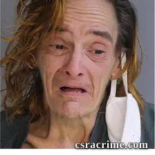 Tammy Powell booking photo