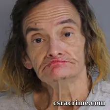 Tammy Powell booking photo