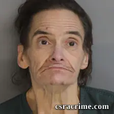 Tammy Powell booking photo